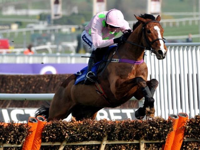 Is Champion Hurdle fav Faugheen a banker for the Placepot?